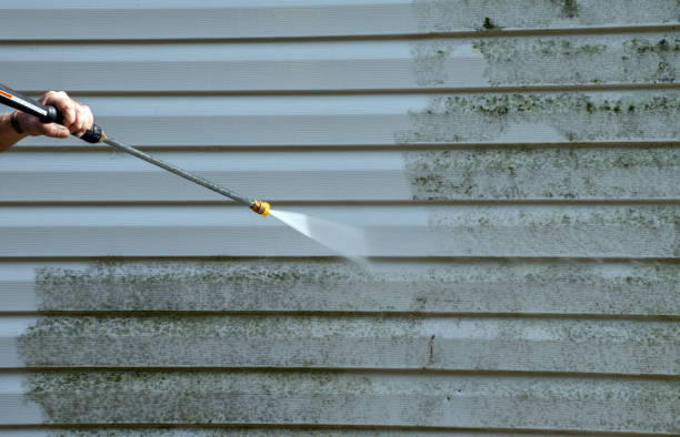 Best Patio and Deck Pressure Washing  in Altamonte Springs, FL